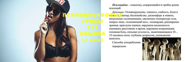 гидропоника Володарск